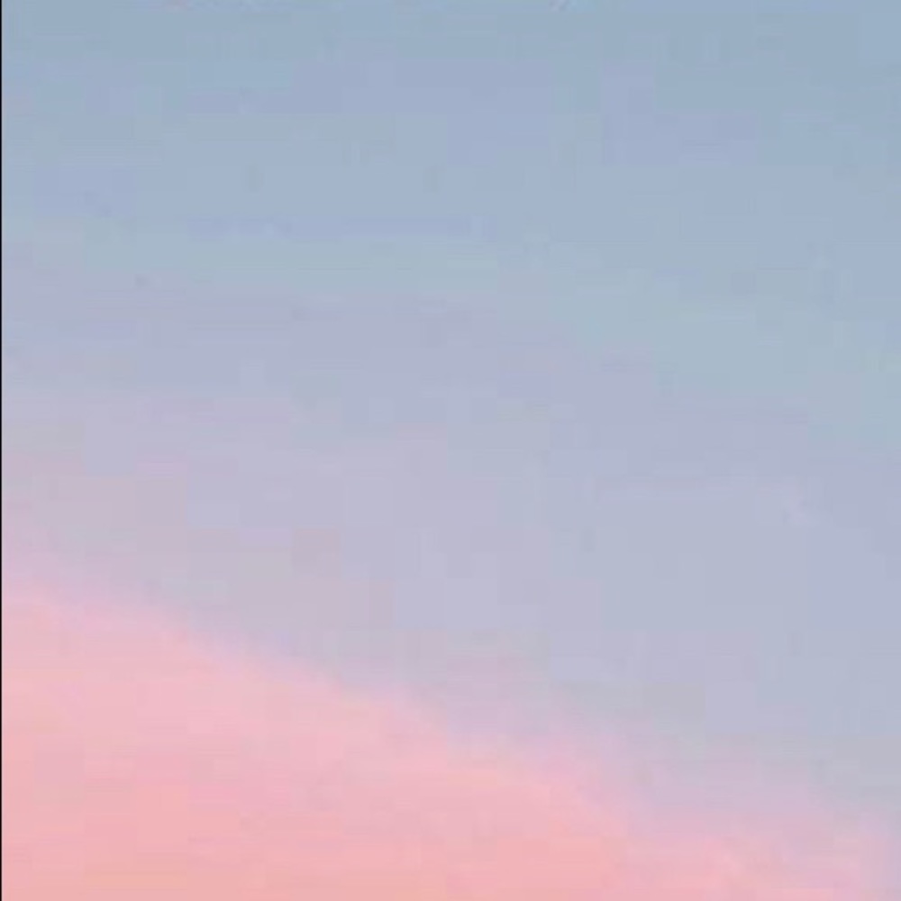 Meet your Posher, Priscilla